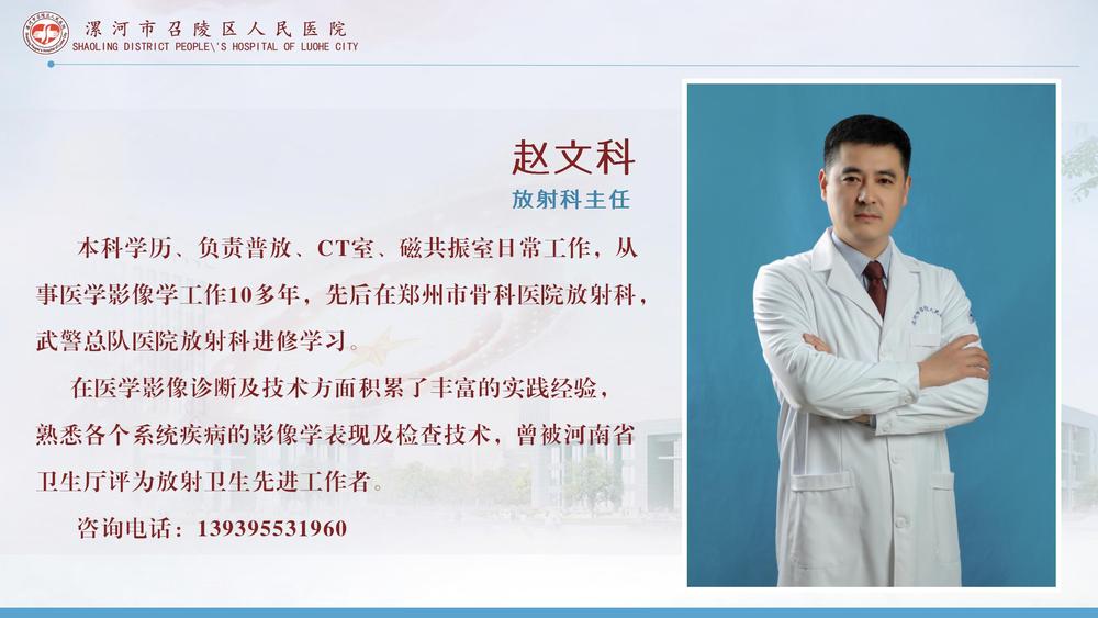赵文科